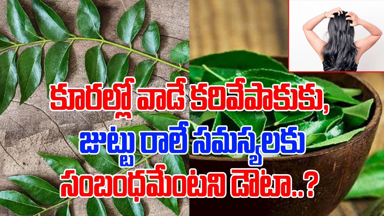 Hair Fall: జుట్టు రాలుతోందా..? ఎన్నో మెడిసిన్స్‌ను వాడుంటారు.. ఒక్కసారి వంటింట్లో ఉండే కరివేపాకుతో ఇలా ట్రై చేసి చూడండి..!