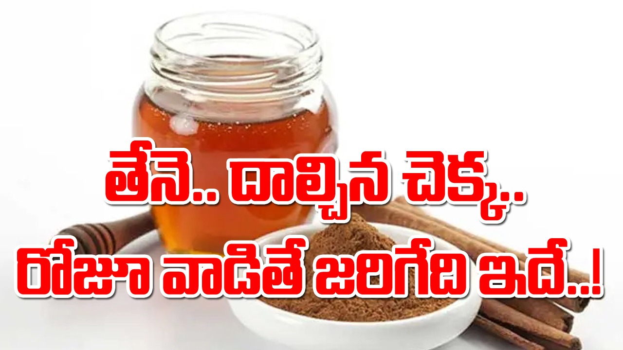 Health Facts: తేనె.. దాల్చిన చెక్క.. అసలు వీటిని ప్రతిరోజూ వాడటం మంచిదేనా..? తేనెను తాగిన వెంటనే ఈ లక్షణాలు కనిపిస్తే..!