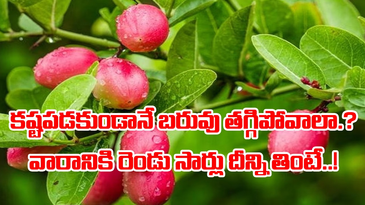 Health Facts: ఎర్రగా కనిపిస్తున్న ఈ చిన్న పండును వారానికి రెండు సార్లు తింటే చాలు.. బరువు తగ్గిపోవడం యమా ఈజీ..!