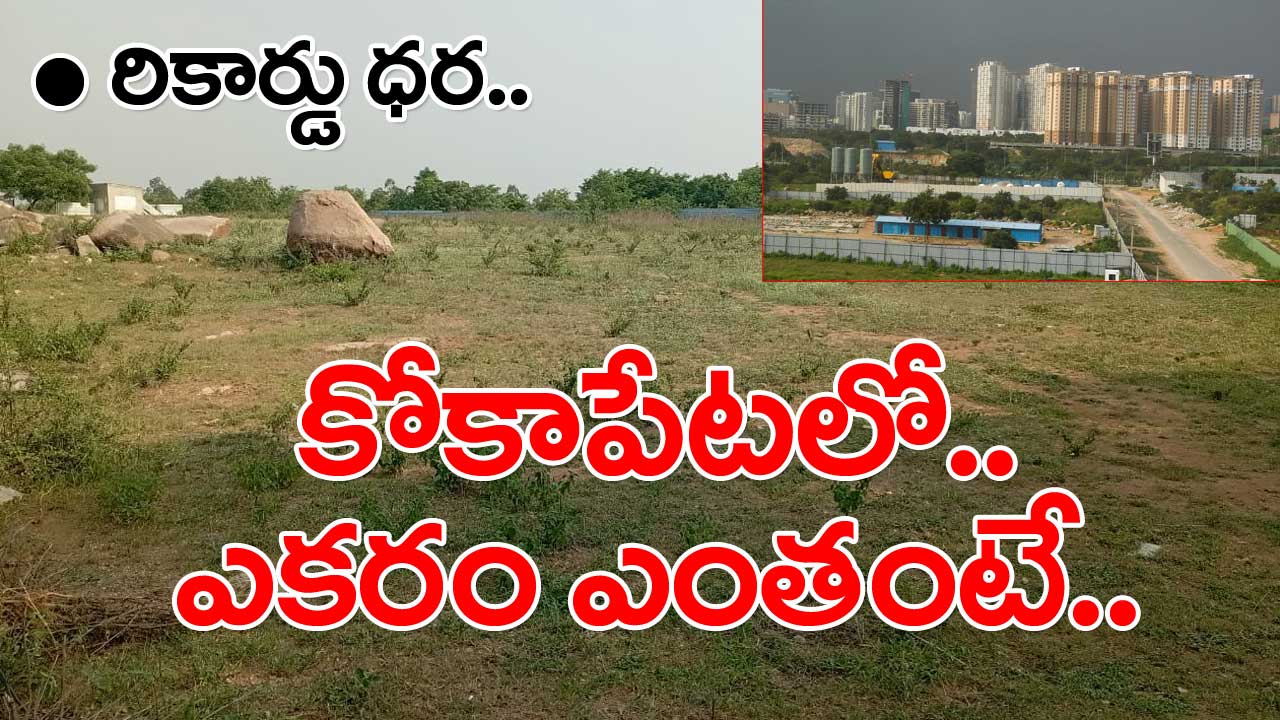 Kokapet Lands: తెలంగాణ సర్కార్‌కు కాసులు కురిపించిన కోకాపేట భూముల వేలం