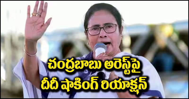 Mamata Banerjee: చంద్రబాబు అరెస్ట్‌పై బెంగాల్ సీఎం మమతా బెనర్జీ షాకింగ్ రియాక్షన్.. ఏమన్నారంటే?