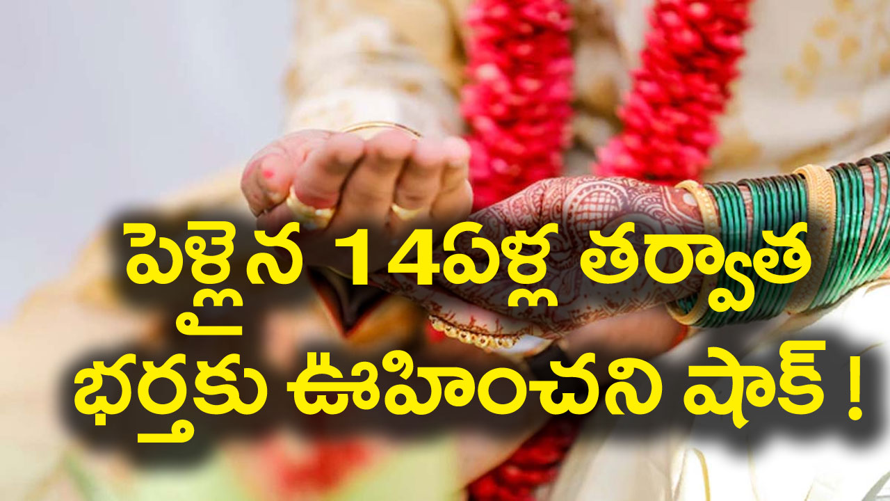 Viral News: 14 ఏళ్ల తర్వాత బయటపడ్డ భార్య నిజ స్వరూపం.. బిత్తరపోయిన భర్త.. సినిమాని మించిన ట్విస్ట్! 