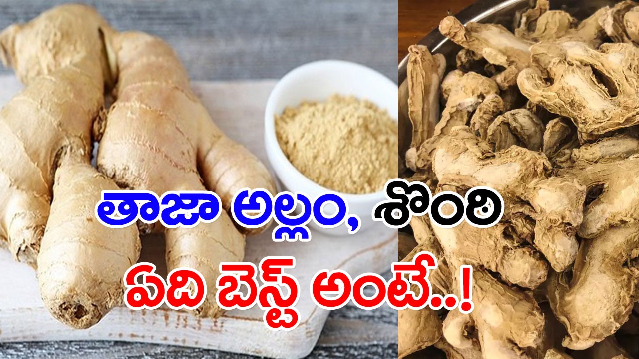  Health Benefits: అచ్చం అల్లమే, కానీ రుచికి వస్తే మాత్రం నషాళానికి అంటుతుంది. ఎండిన అల్లం అదే శొంఠితో ఎలాంటి ఉపయోగాలంటే..!