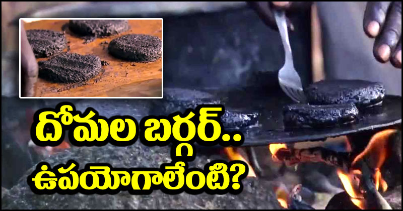 Mosquito Burger: దోమల బర్గర్ గురించి విన్నారా? ఎలా చేస్తారో తెలుసా? దీని వల్ల ఉపయోగం ఏంటి?