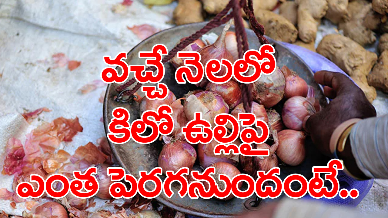 Onion Prices Surge: టమాటా ధర తగ్గింది కానీ ఉల్లి ధర వచ్చే నెలలో ఎంతకెళుతుందో తెలిస్తే..