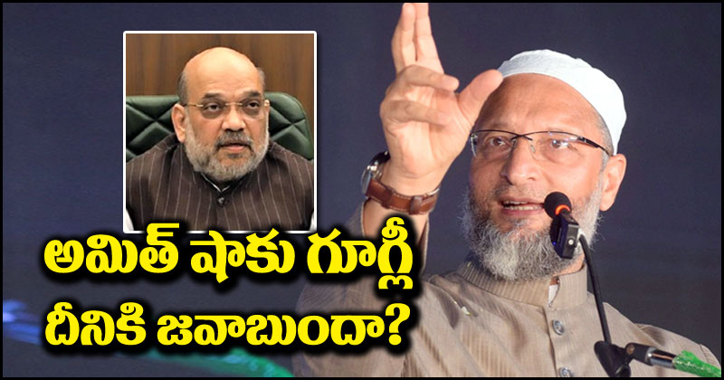 Asaduddin Owaisi: గూగ్లీ వేసి అమిత్ షాని ఇరకాటంలో పడేసిన అసదుద్దీన్ ఒవైసీ.. లాజిక్‌తో కొట్టారుగా!