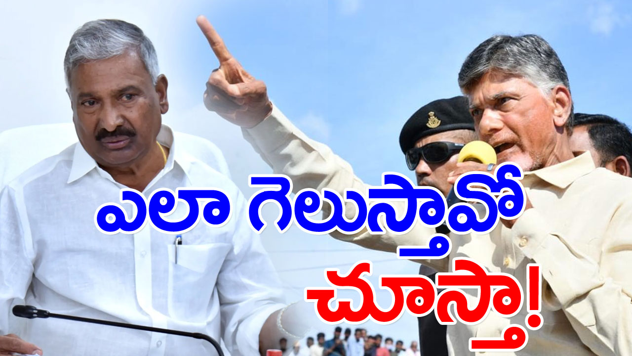 Chandrababu : పెద్దిరెడ్డీ ఖబడ్దార్‌.. పుంగనూరులో ఎలా గెలుస్తావో నేను చూస్తా!