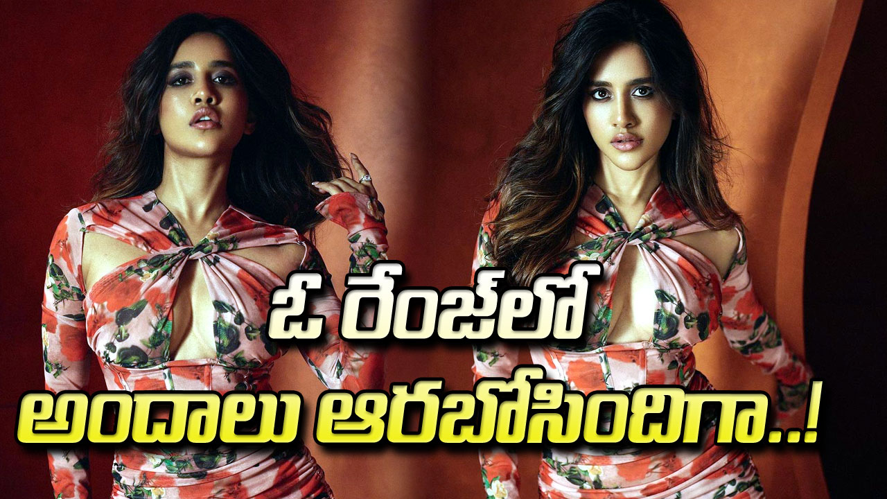 Nabha Natesh: బాబోయ్.. ఇస్మార్ట్ బ్యూటీ ఓ రేంజ్‌లో అందాలు ఆరబోసిందిగా.. ఫొటోలు వైరల్..!