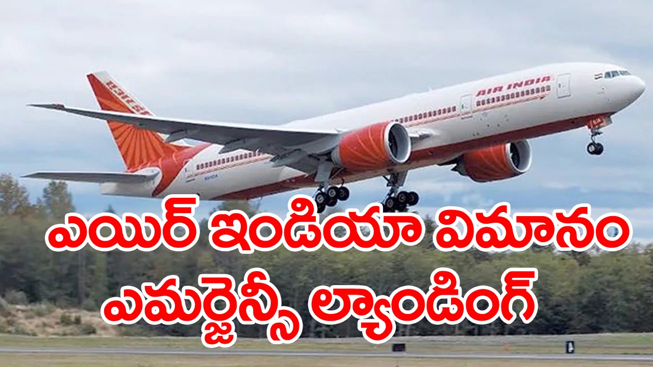 Air India flight: గంట సేపు ప్రయాణించిన తర్వాత మెల్‌బోర్న్‌కు తిరిగి వెళ్లిన విమానం.. ఎందుకంటే..?