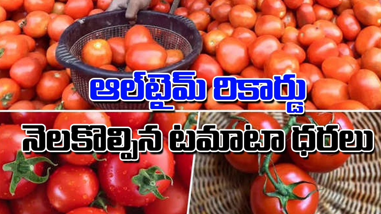 Tomato Price: డబుల్ సెంచరీ కొట్టిన టమాటా.. ఎక్కడంటే..?