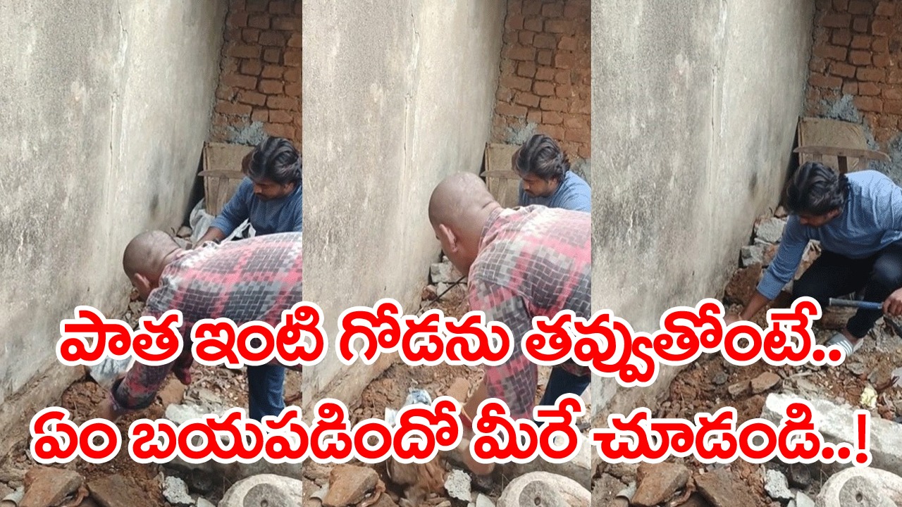 Viral Video: పాత ఇంటి గోడను కూల్చుతోంటే లోపలి నుంచి ఏదో శబ్దం.. అనుమానంతో పారతో తవ్వి చూస్తే షాకింగ్ సీన్..!