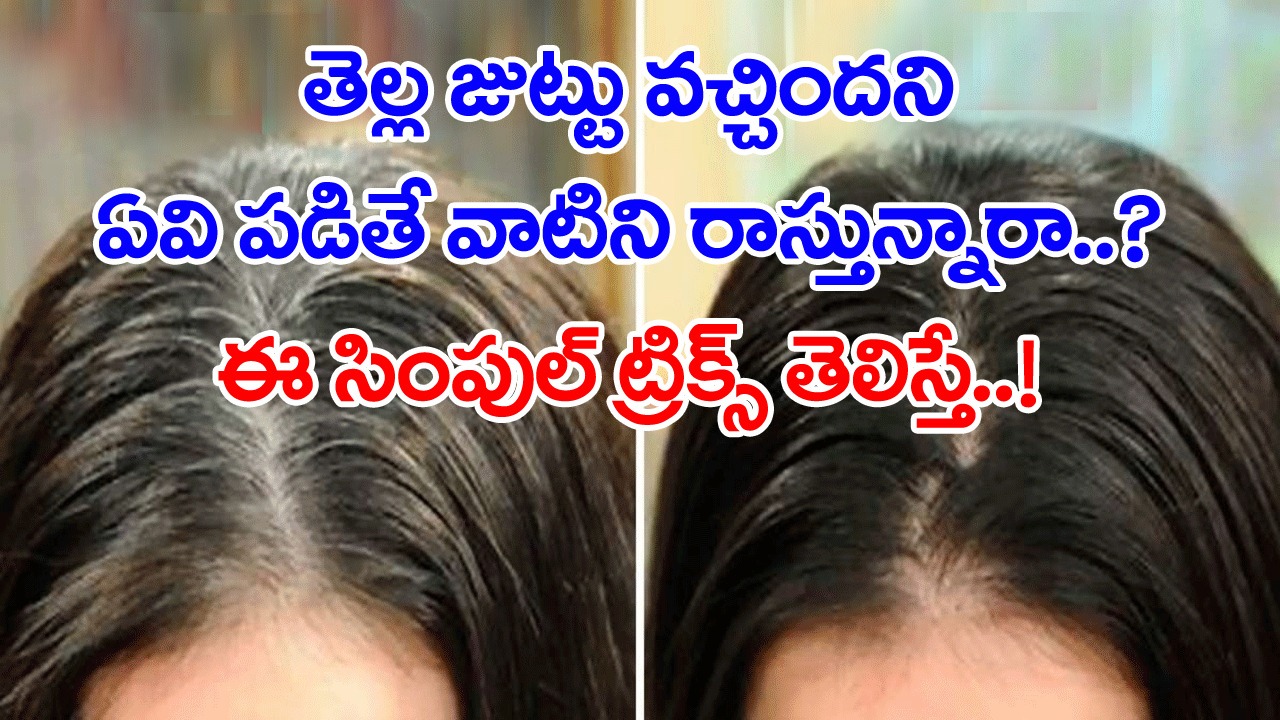 White Hair: ఏవి పడితే వాటిని వాడకండి.. కెమికల్స్‌కు బదులుగా వీటిని వాడితే తెల్లజుట్టు నల్లగా మారిపోవడం ఖాయం..! 