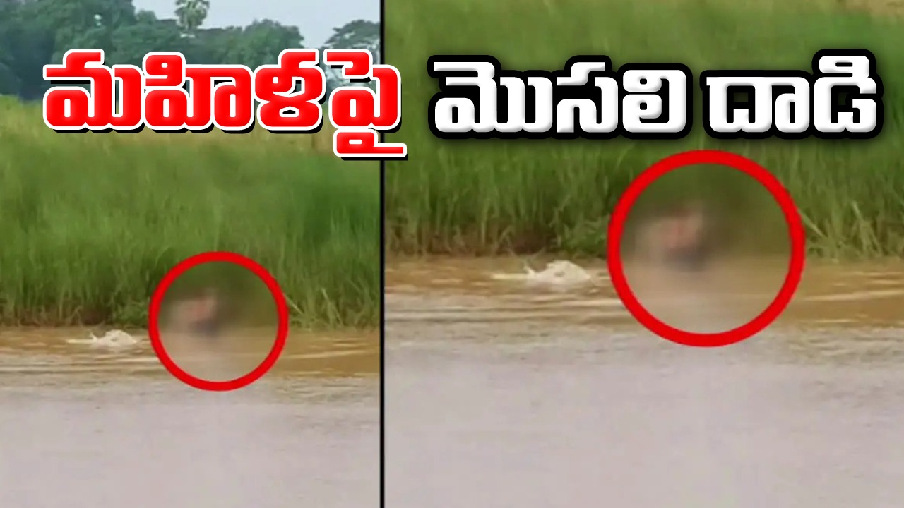 Crime: మొసలి కంట్లో పడిన నది ఒడ్డున దుస్తులు ఉతుకుతున్న మహిళ.. ఆ తర్వాత ఏం జరిగిదంటే..?