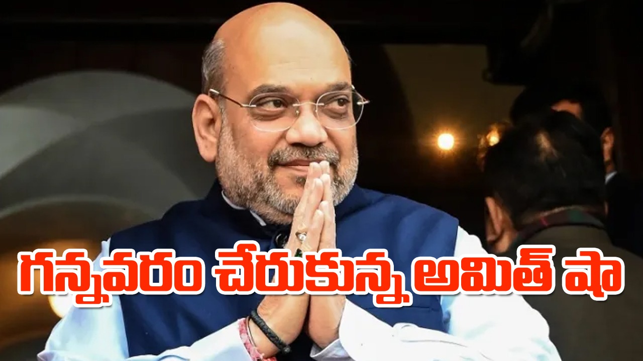 Amit Shah: గన్నవరం విమానాశ్రయానికి చేరుకున్న అమిత్ షా