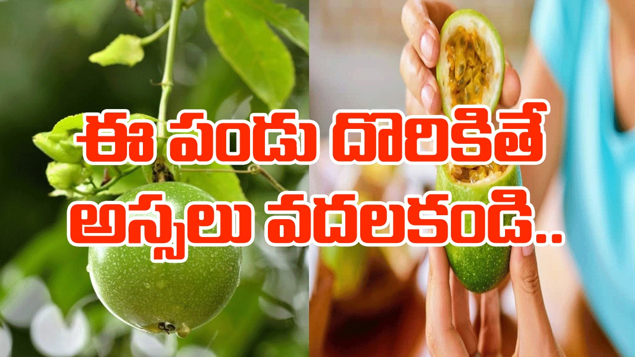 Health Tips:  ఈ పండు ఎక్కడైనా కనిపిస్తే వెంటనే కొనేయండి.. ఇంతగా ఎందుకు చెప్పాల్సివస్తోందంటే..