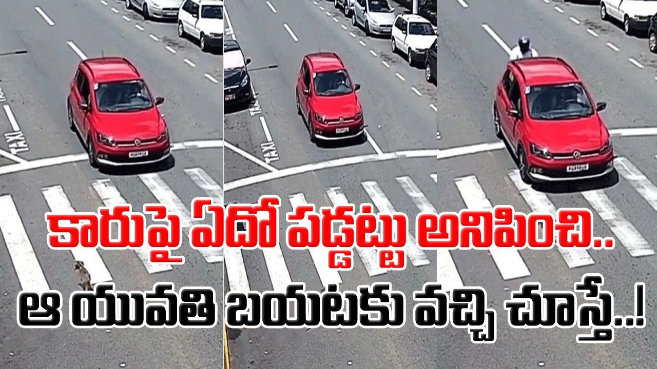 Accident Video: కుక్కను కాపాడాలని బ్రేక్ వేసింది కానీ.. మరుక్షణంలోనే షాకింగ్ సీన్.. కారుపై ఏదో పడ్డట్టు అనిపించి బయటకు వచ్చి చూస్తే..!