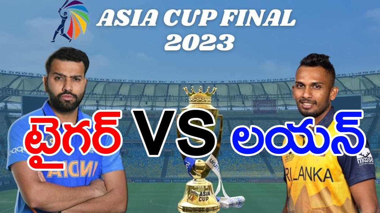 Asia Cup 2023: పులి vs సింహం తలపడితే ఎలా ఉంటుందో ఎప్పుడైనా చూశారా? అయితే ఫైనల్లో చూద్దాం రండి.. 