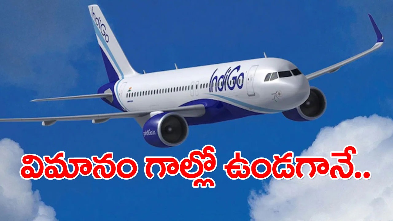 IndiGo flight: ఇండిగో విమానం గాల్లో ఉండగానే ఈ ప్రయాణికుడు ఎంత పని చేశాడో చూడండి..