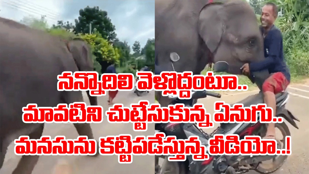 Elephant Video: బండి ఎక్కి వెళ్లిపోతున్న మావటి.. ఏనుగు పరుగెత్తుకుంటూ వచ్చి మరీ ఏం చేసిందంటే..!
