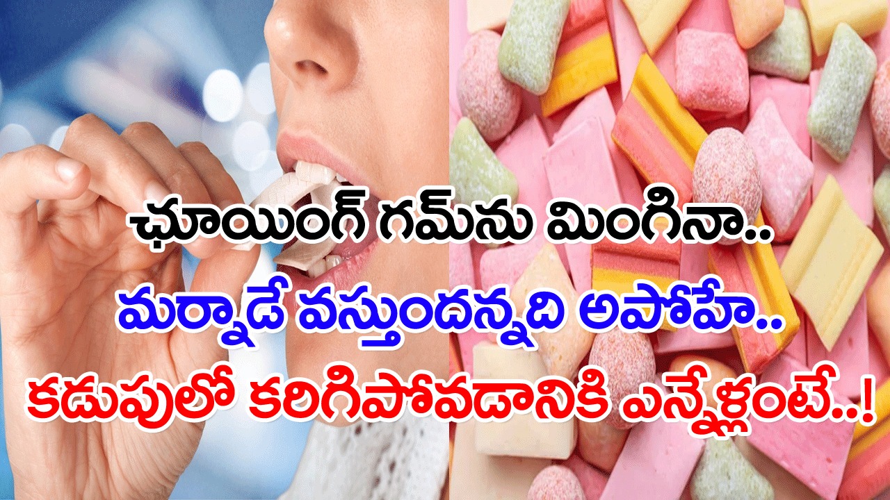 Health Facts: ఛూయింగ్ గమ్‌ను పొరపాటున మింగితే.. కడుపులో అది కరిగిపోవడానికి ఎన్నేళ్లు పడుతుందో తెలిస్తే..!