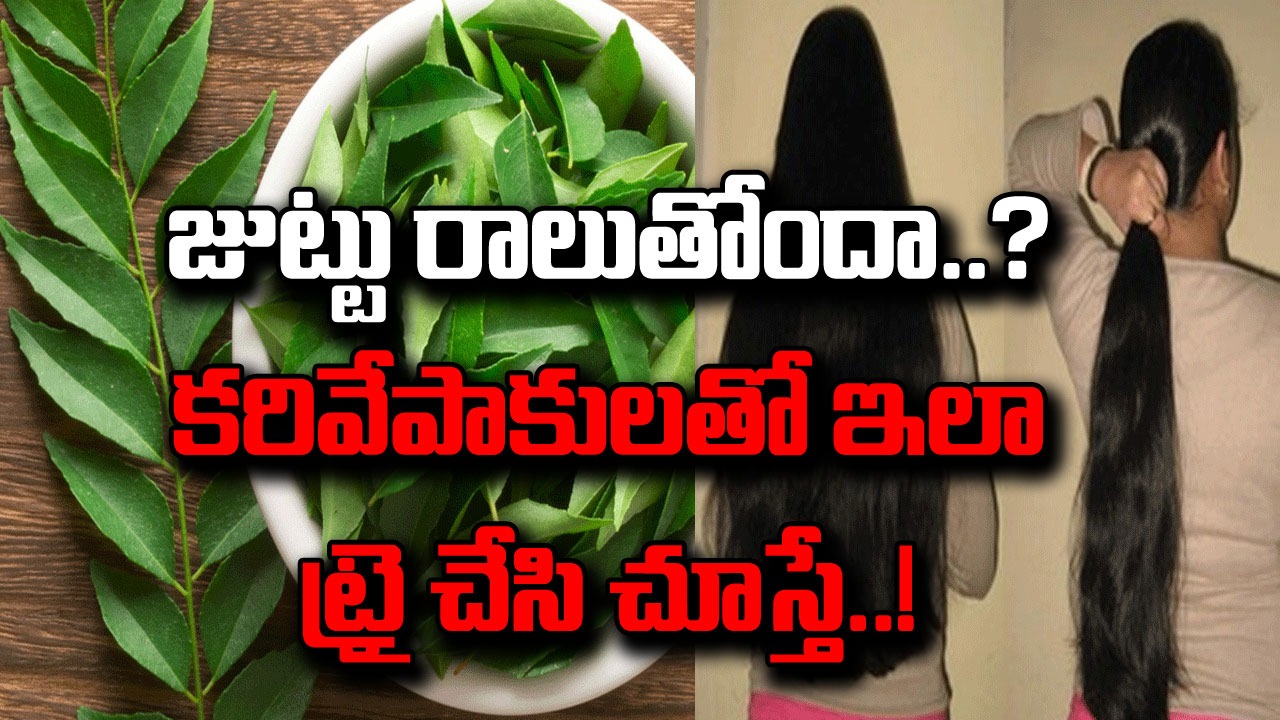 Curry leaves: కరివేపాకులతో మీకు తెలియని లాభాలెన్నో.. కూరల్లో కాకుండా ఇలా వాడితే జుట్టు సమస్యలకు చెక్..!