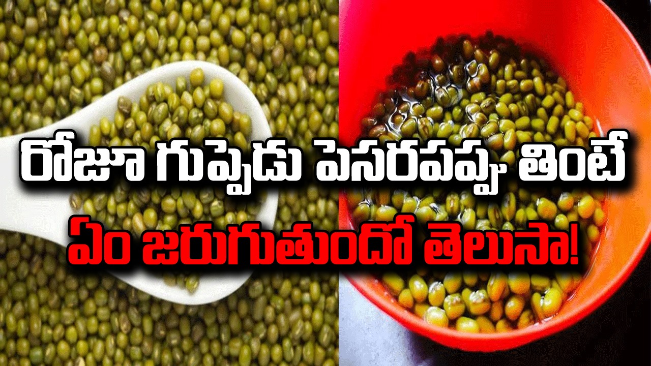 Health Tips: వంటింట్లో ఉండే పెసరపప్పును అంతగా పట్టించుకోరు కానీ.. వీటిని రోజూ నానబెట్టి తింటే జరిగేది ఇదే..