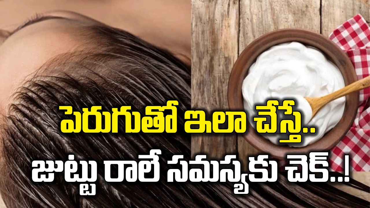 Curd: పెరుగును ఇలా కూడా వాడొచ్చని కలలో కూడా ఊహించి ఉండరు.. జుట్టు రాలే సమస్యకు చెక్ పెట్టాలంటే పెరుగుతో..!