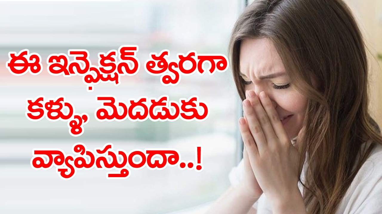 Nasal or respiratory allergy during monsoon: కాస్త వాతావరణం మారిందా? ఫంగల్ సైనస్ రకాలు దాడి చేస్తాయి.., ఇది శస్త్రచికిత్స వరకూ తీసుకుపోవచ్చు.. !