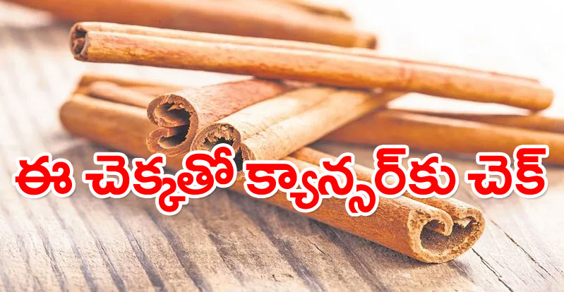 Prostate Cancer: ఈ చెక్కతో ప్రొస్టేట్‌ క్యాన్సర్‌కు చెక్‌! ఎన్‌ఐఎన్‌ అధ్యయనంలో వెల్లడి