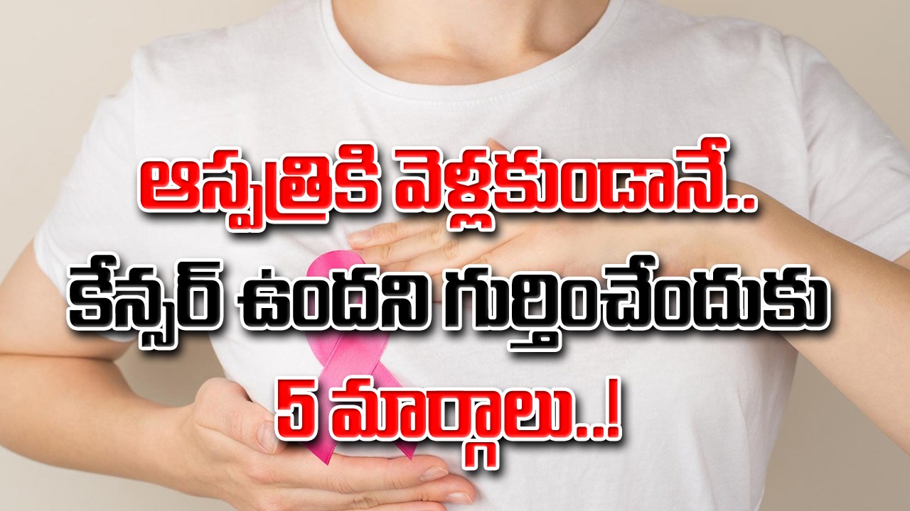 Cancer Test At Home: ఆస్పత్రికి వెళ్లి టెస్టులు చేయించుకోకుండానే.. కేన్సర్ ఉందని గుర్తించడం ఎలాగంటే..!