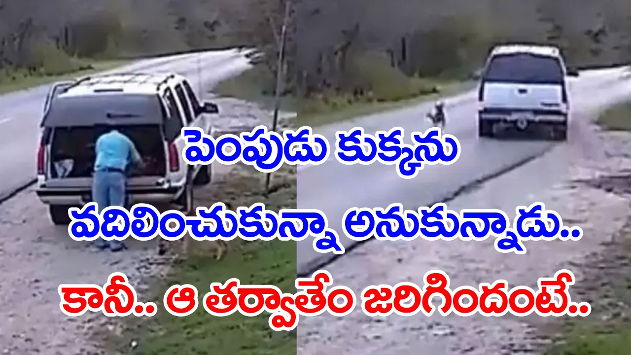 Viral Video: పాపం.. పెంపుడు కుక్కను రోడ్డు మీద వదిలేసి వెళ్లిపోయాడు.. ఆ తర్వాత అతడి పరిస్థితి ఏమైందంటే.. 