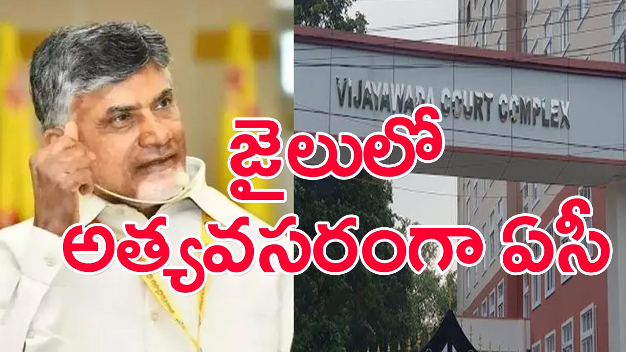 ACB Court: చంద్రబాబు పిటిషన్ ఏసీబీ కోర్టు కీలక ఆదేశాలు