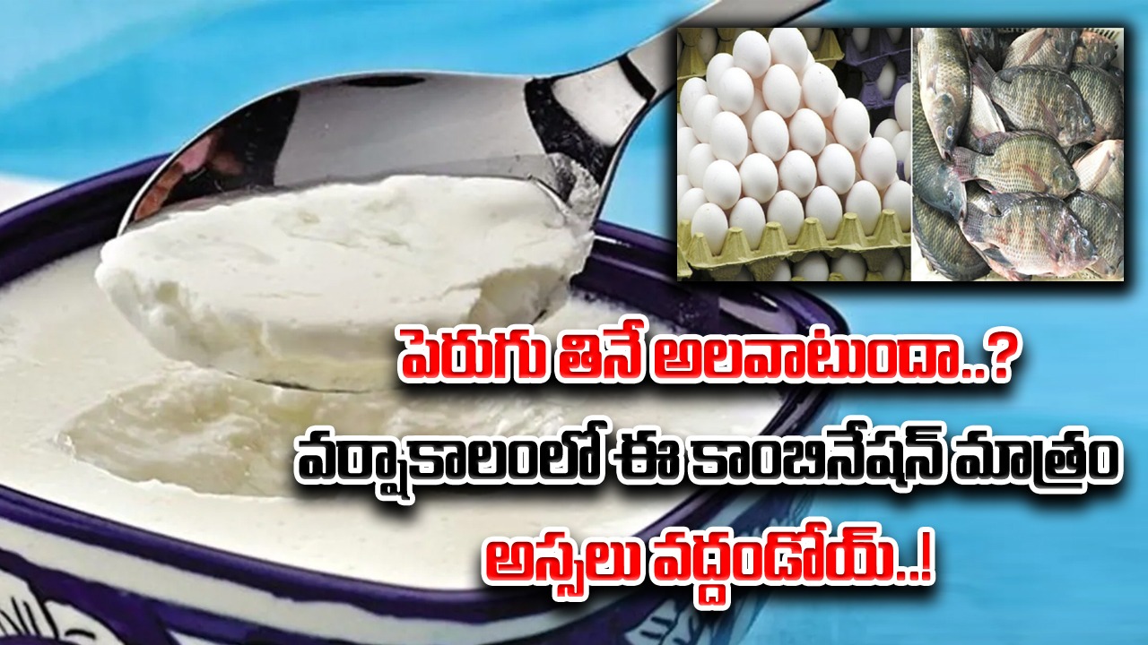 Health Tips: పెరుగుతో కలిపి ఈ ఐదింటినీ అస్సలు తినకండి.. వర్షాకాలంలో ఈ మిస్టేక్ కనుక చేస్తే..!