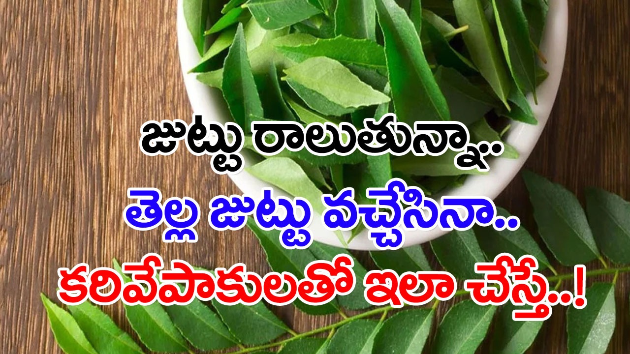 Curry Leaves: పాతికేళ్ల వయసుకే తెల్ల జుట్టు వచ్చేసిందా..? జుట్టు రాలిపోతోందా..? కరివేపాకులే ఓ అద్భుతమైన మెడిసిన్ అని తెలుసా..?