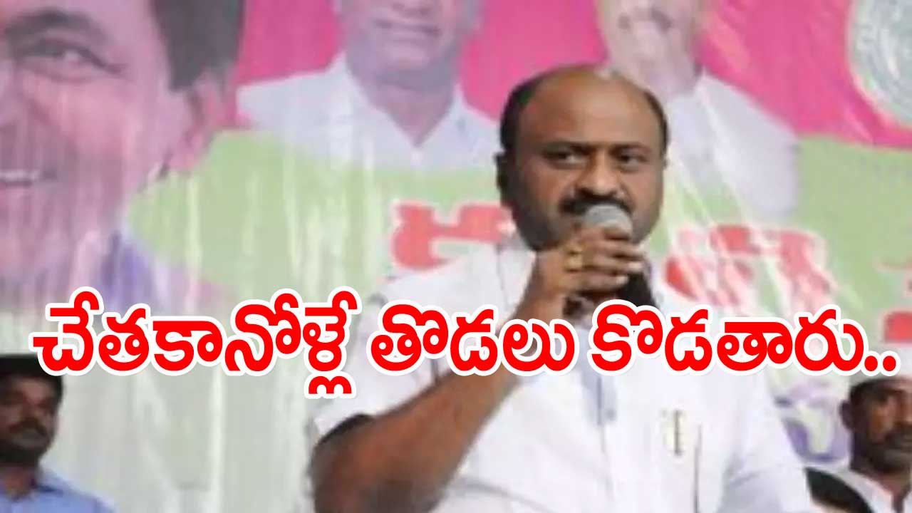 Warangal: ఎమ్మెల్యే చల్లా ధర్మారెడ్డి కీలక వ్యాఖ్యలు