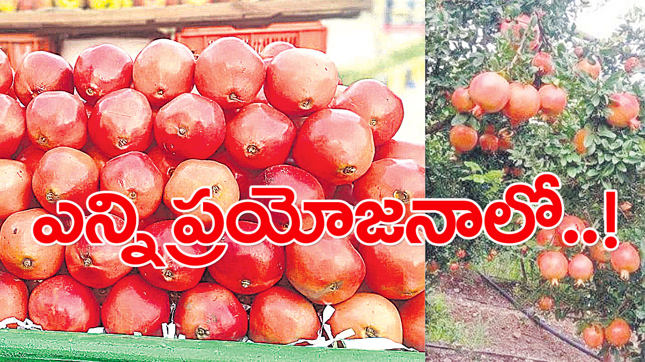 Pomegranate: రక్తహీనత నుంచి బయటపడాలంటే..!