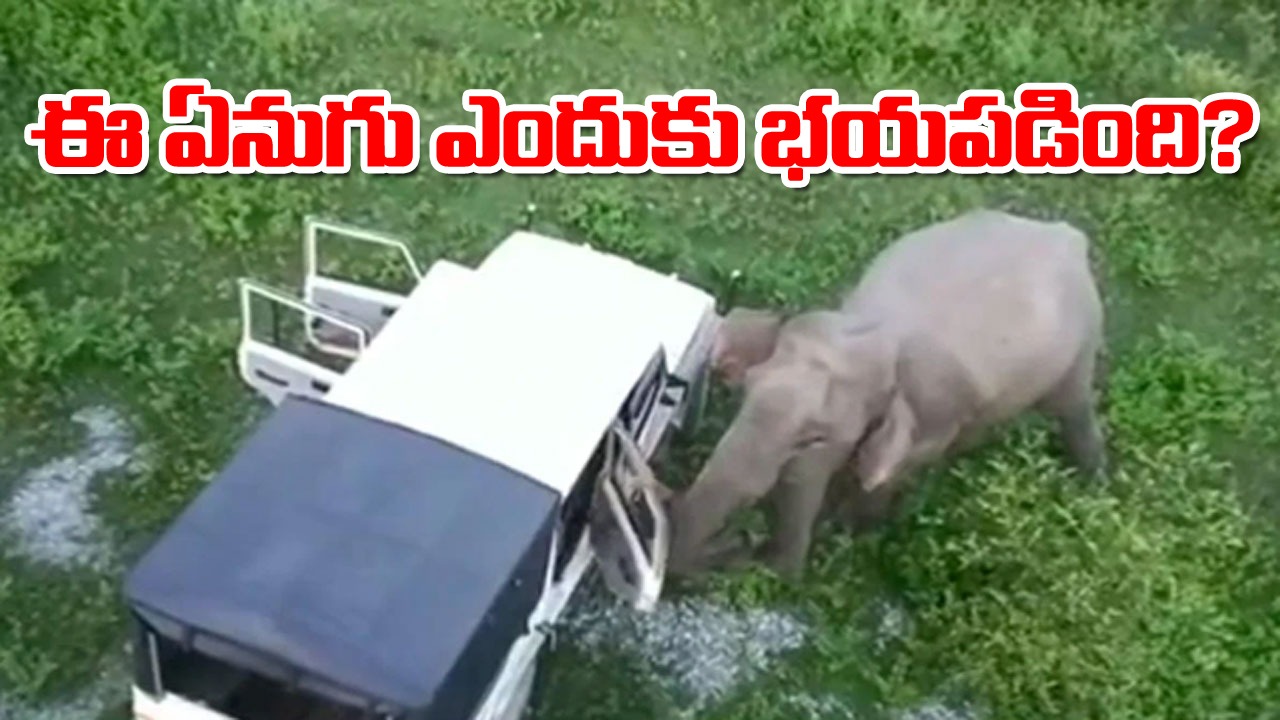 Elephant Video: ఆ జీపులో ఎవరూ లేకున్నా.. భయపడి పారిపోయిన ఏనుగు..? ఎందుకలా చేసిందో మీరే చూడండి..!