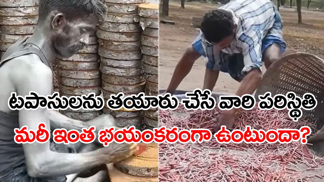 Viral Video: మనం సరదాగా పేల్చే టపాసులను ఎలా తయారు చేస్తున్నారో చూడండి.. వారు ఎలాంటి పరిస్థితుల్లో పని చేస్తున్నారంటే.. 