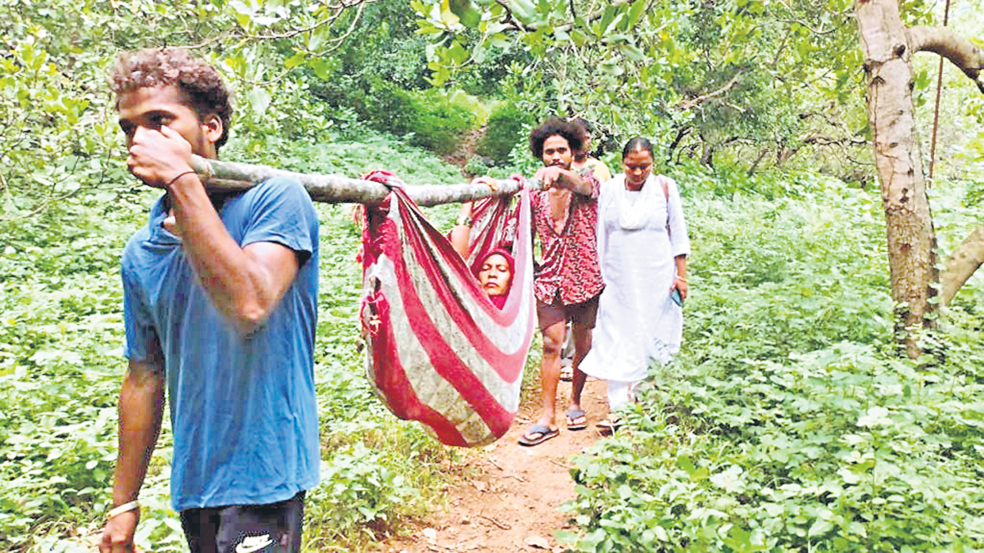 అడవిలో ప్రసవ వేదన!