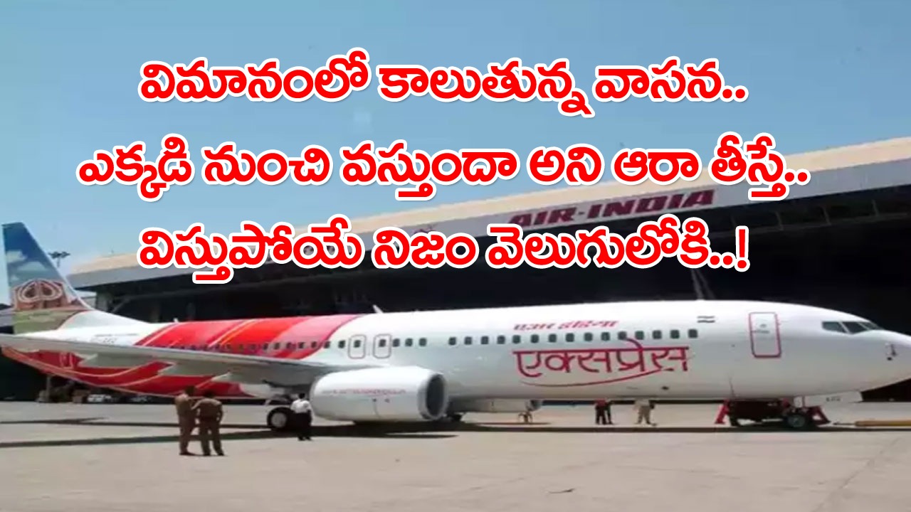 Viral: ఏదో కాలుతున్న వాసన వస్తోందంటూ ఓ ప్రయాణీకుడికి డౌట్.. ఎమర్జెన్సీ ల్యాండింగ్ చేసిన పైలెట్.. చివరకు షాకింగ్ ట్విస్ట్..!