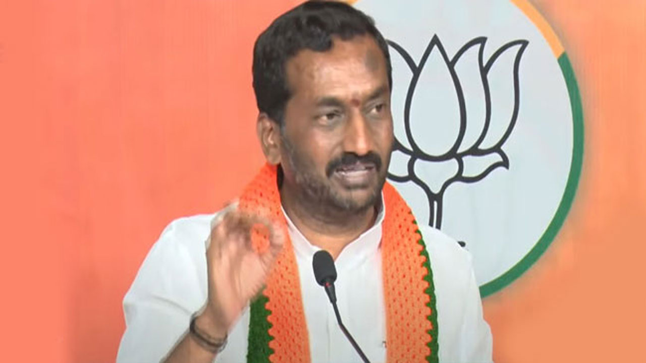 BJP MLA: బీజేపీ ఎమ్మెల్యే రఘునందన్‌ సంచలన కామెంట్స్.. ఆ ఎమ్మెల్యే చేసిందేమీ లేదు.. అన్నీ మాటలే...