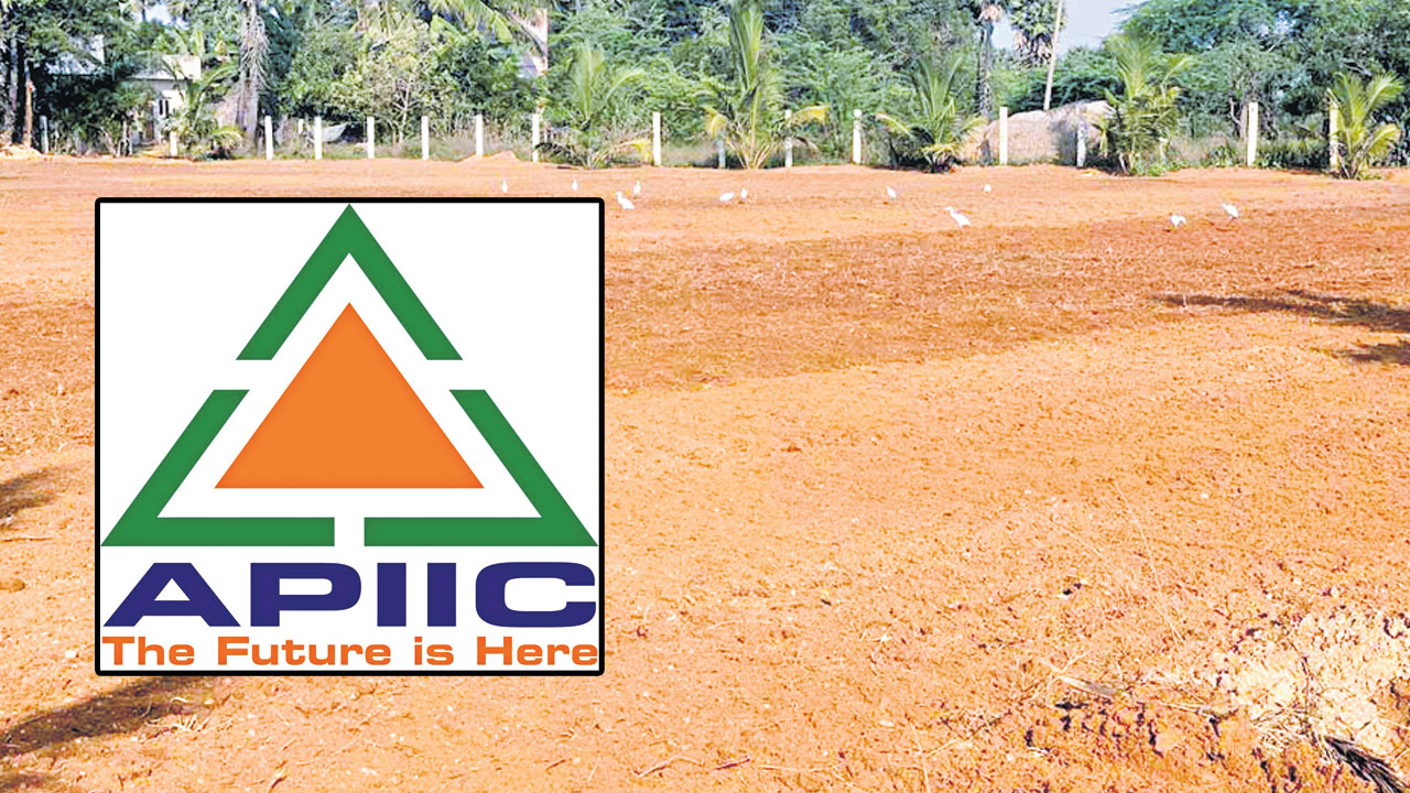 APIIC : ఏపీఐఐసీలో భూదందా!?