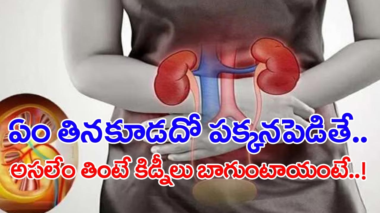 Health Tips: ఏ ఆస్పత్రిలో చూసినా కిడ్నీ సమస్యలతో చేరుతున్న వాళ్లే.. అసలు కిడ్నీలు పాడవకుండా ఉండాలంటే..!