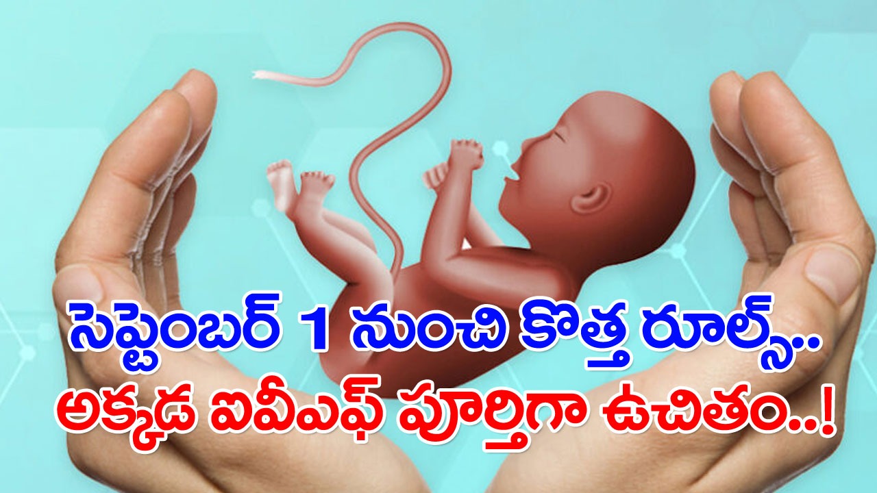 Free IVF Treatment: సెప్టెంబర్ 1వ తారీఖు నుంచి అక్కడ ఐవీఎఫ్ ట్రీట్మెంట్ ఫ్రీ.. సంతానలేమితో బాధపడేవాళ్లకు గుడ్ న్యూస్..!