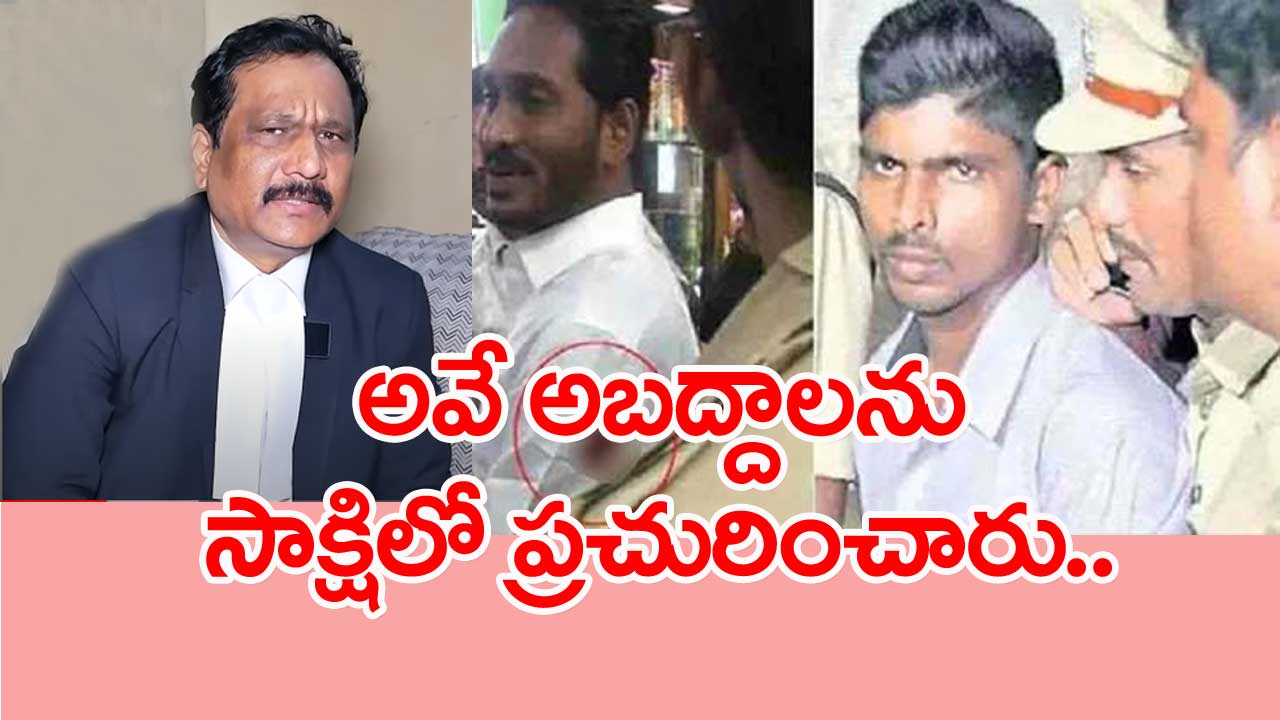 Kodi Kathi Case.. సీఎం తరఫు న్యాయవాది చెప్పేవన్నీ అబద్దాలే..: అబ్దుల్ సలీం