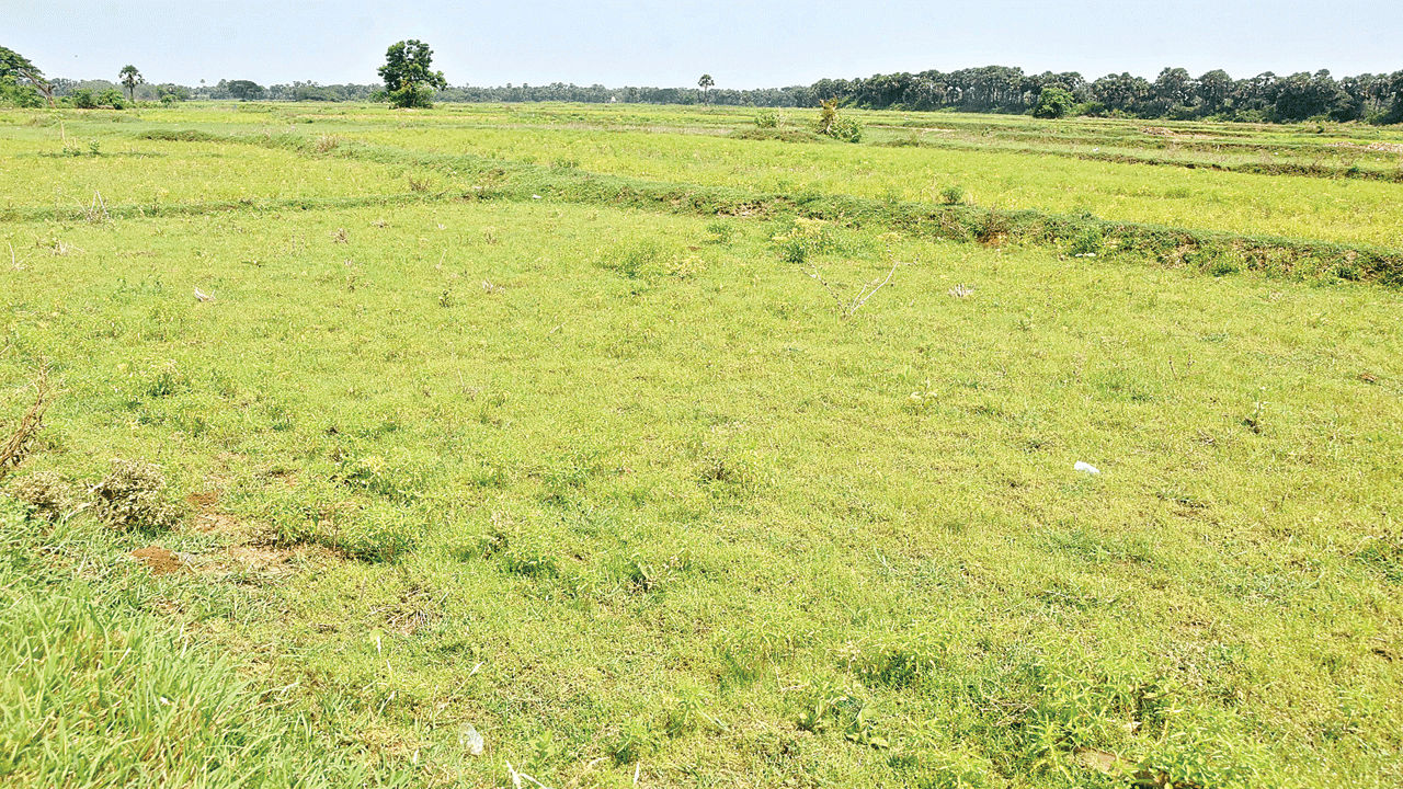 సర్వే నంబర్లు బ్లాక్‌!