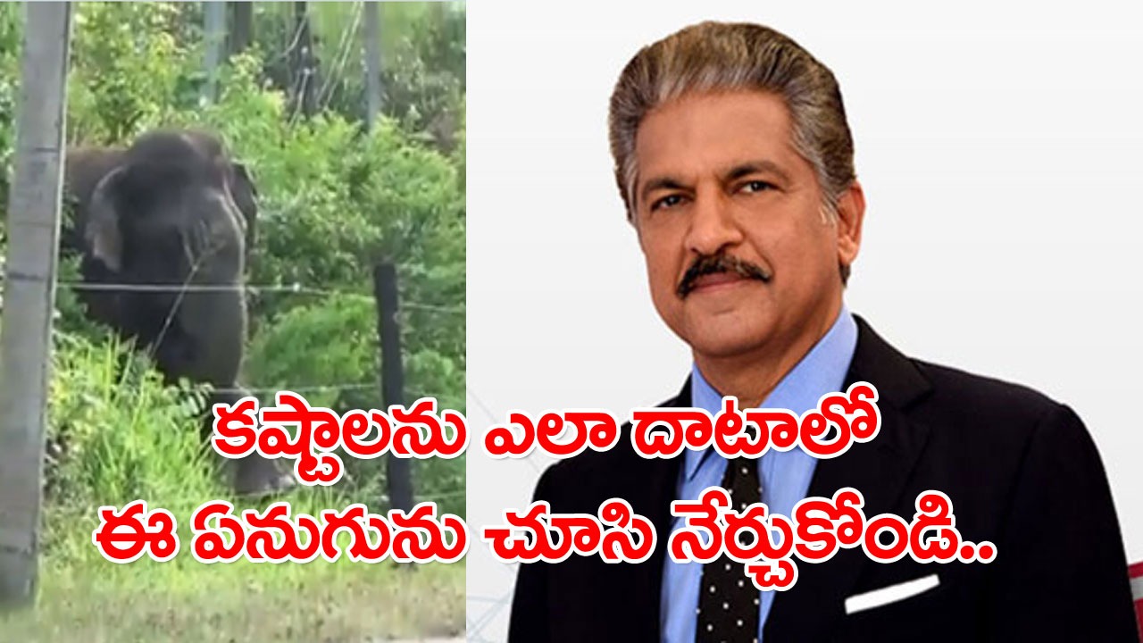 Anand Mahindra: కష్టాలను ఎలా దాటాలో ఈ ఏనుగును చూసి నేర్చుకోండి.. స్ఫూర్తిదాయక ట్వీట్ చేసిన ఆనంద్ మహీంద్రా!