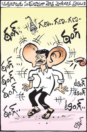 Daily Cartoon