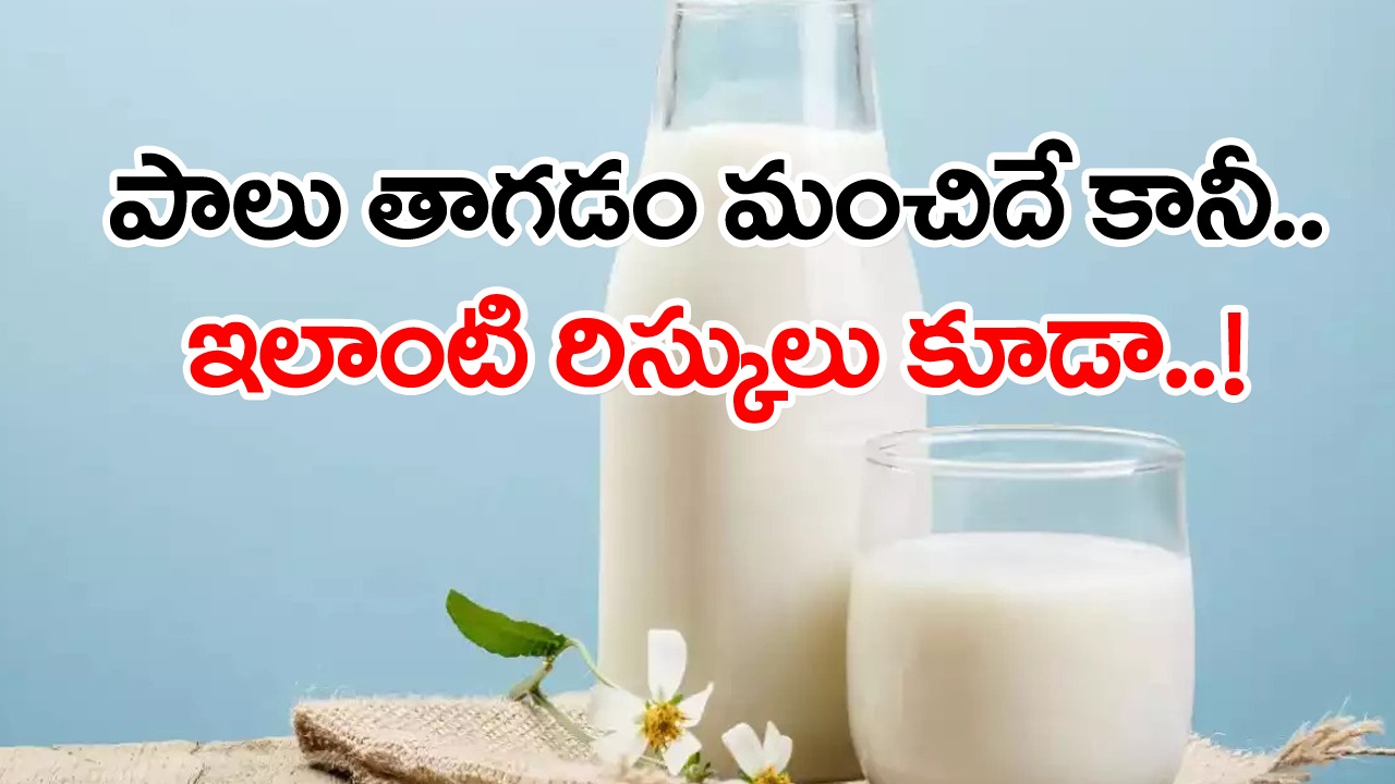 Drinking Milk: రోజూ పాలు తాగే అలవాటుందా..? ఈ రిస్కులూ ఉన్నాయి జర జాగ్రత్త.. మంచిది కదా అని ఎక్కువగా తాగితే..!