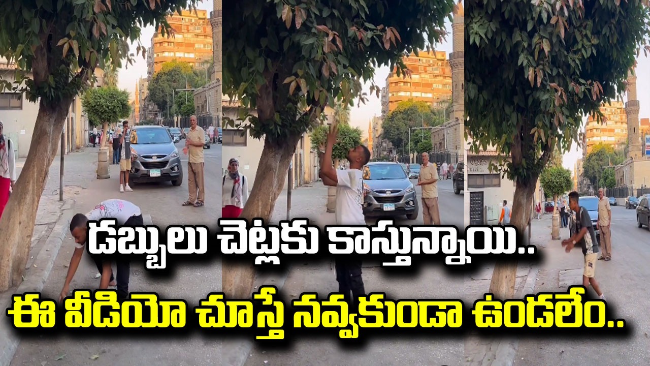 Money Tree: డబ్బులు చెట్లకు కాస్తున్నాయి.. వైరల్ అవుతున్న ఈ వీడియో చూస్తే పొట్ట చెక్కలయ్యేలా నవ్వాల్సిందే.. 